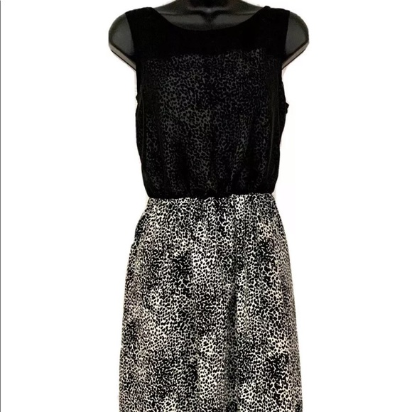 Flirty Black & White Summer Dress - Picture 9 of 10